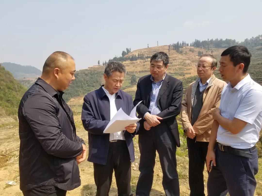 谈球吧官网-相信品牌力量